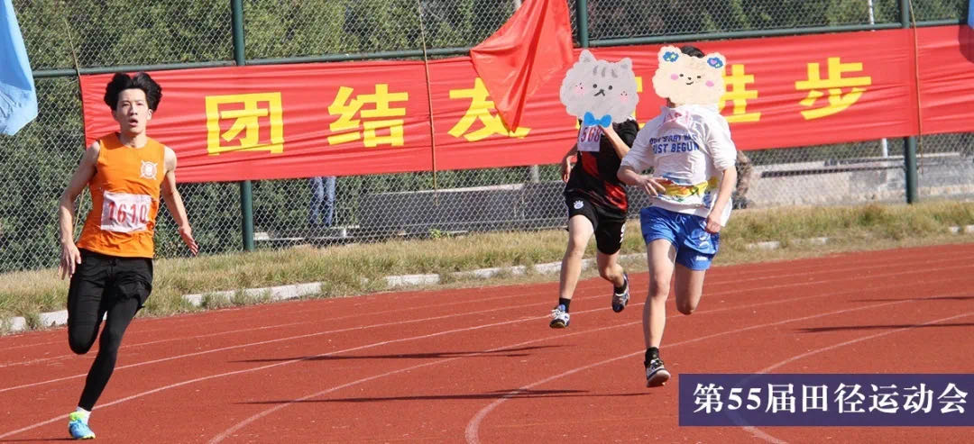 50.jpg